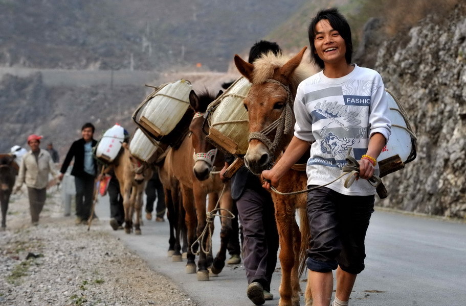 广西百色市隆林县德峨乡拉水的马帮