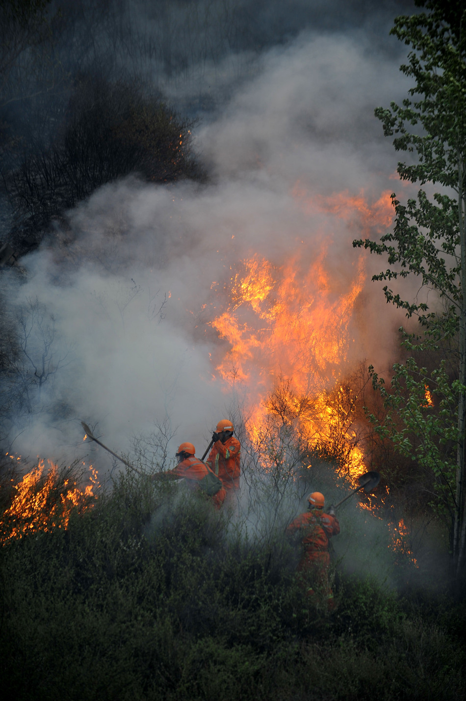 山西3千人扑救森林火灾_高清图集_新浪网