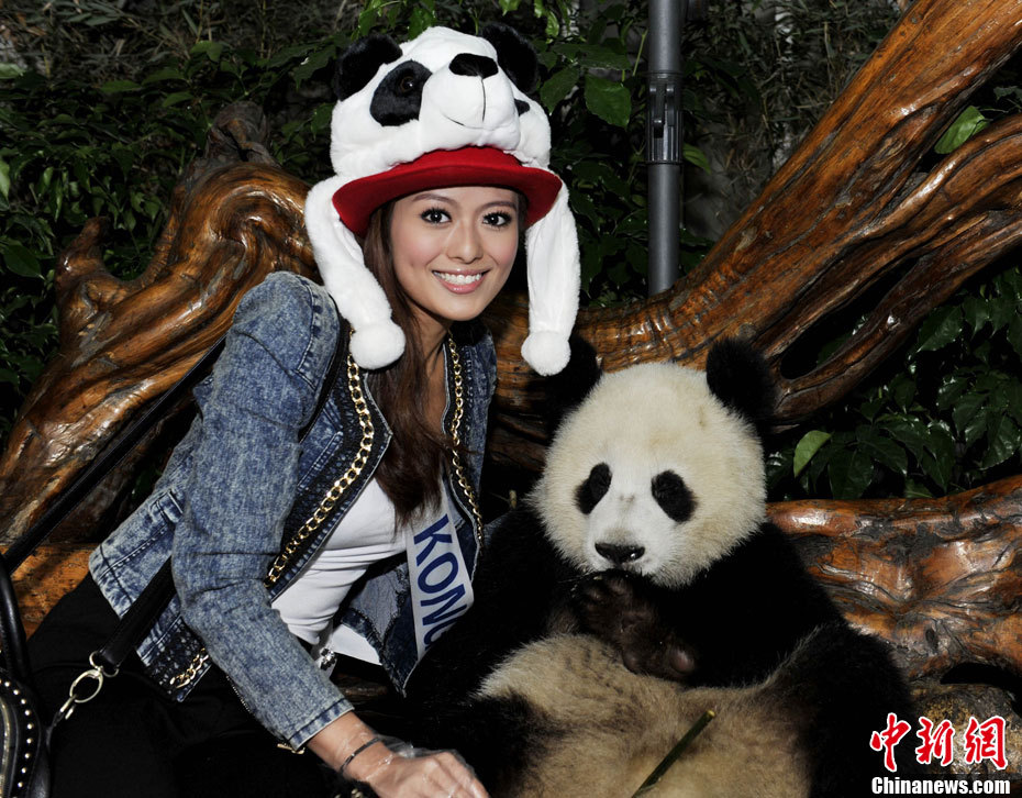 国际小姐众佳丽成都拥抱大熊猫_高清图集_新浪网