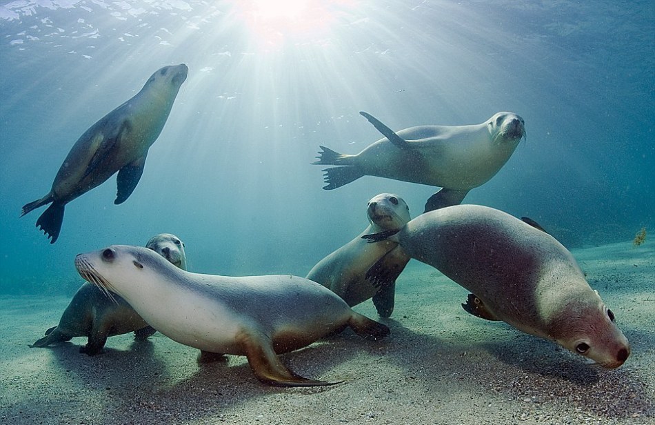 我思故我在——波诺波的肖像照