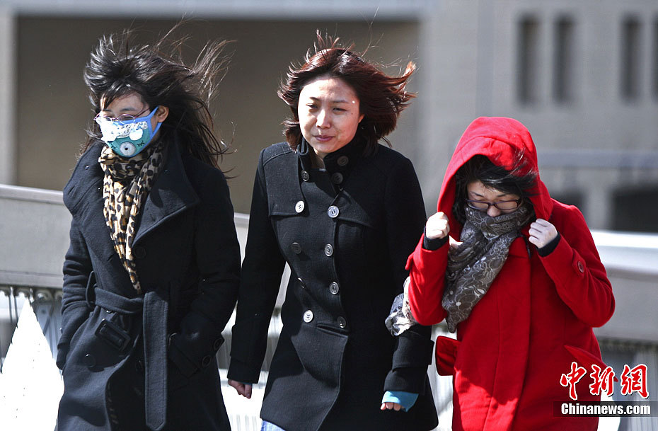 北京遭遇8至9级阵性大风_高清图集_新浪网