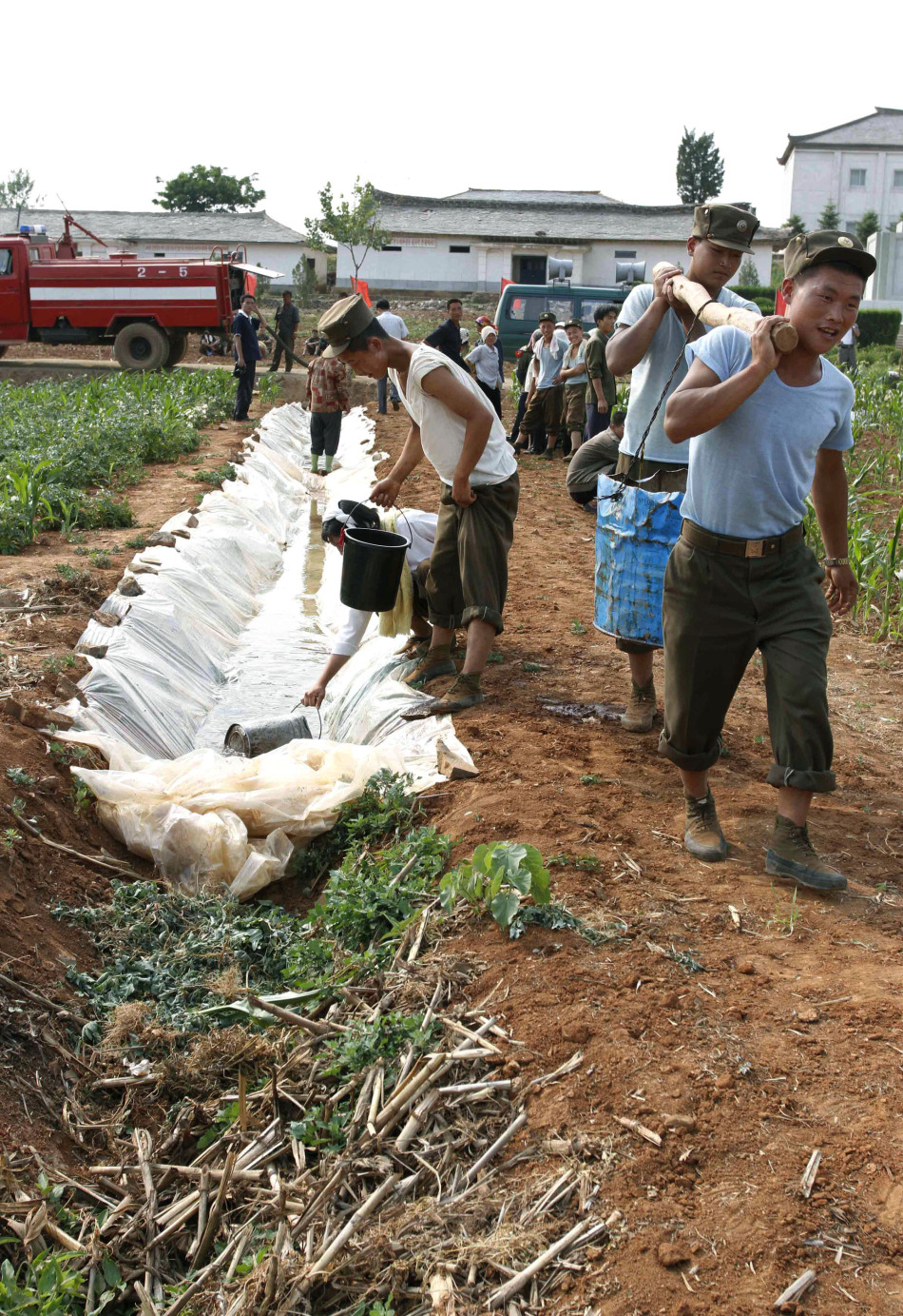 朝鲜遭"60年不遇"大旱2万人饿死