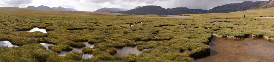 热融湖塘地貌.摄影:徐健