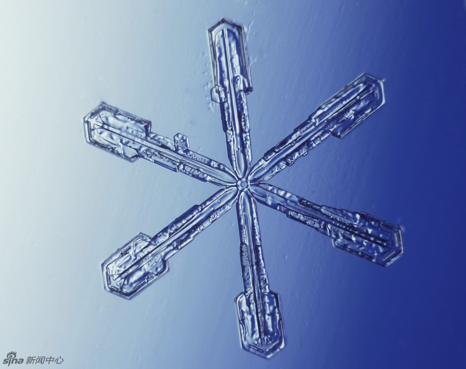 小年北方降瑞雪 实拍微观世界的雪花