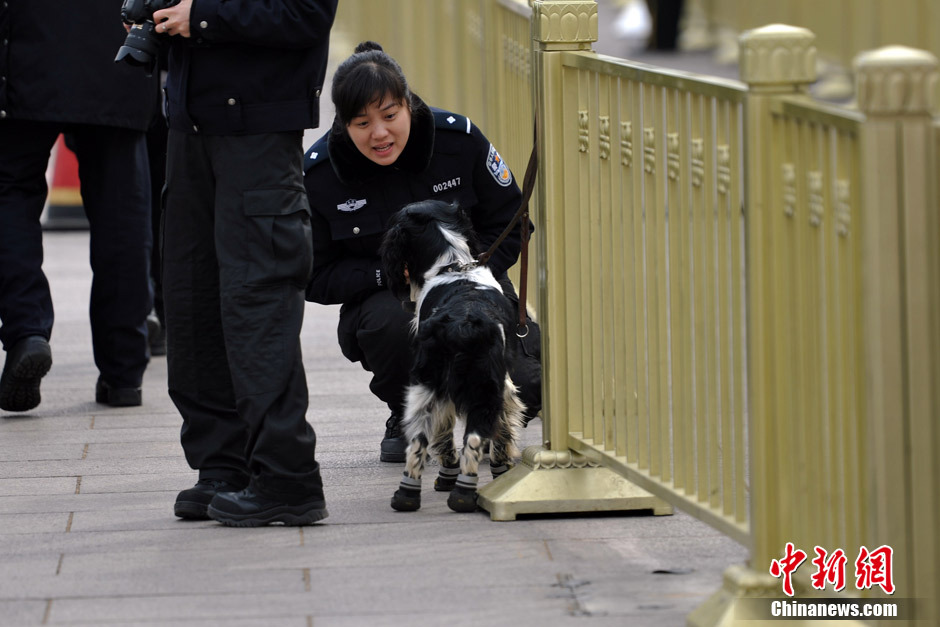 3月2日,全国"两会"启幕,为确保会议顺利召开,安保人员带领警犬在人民