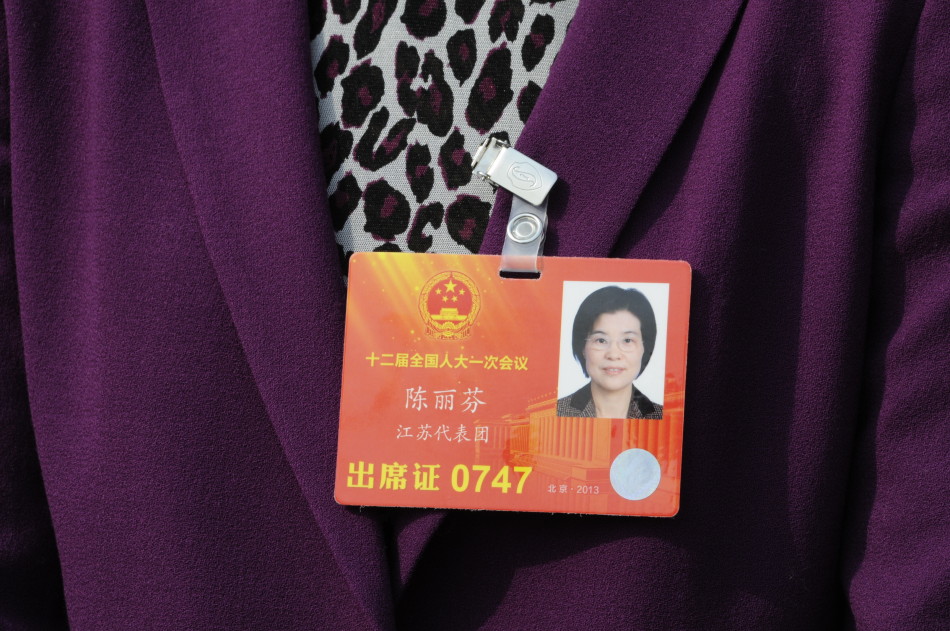 全国人大代表,江苏阳光集团董事长陈丽芬.