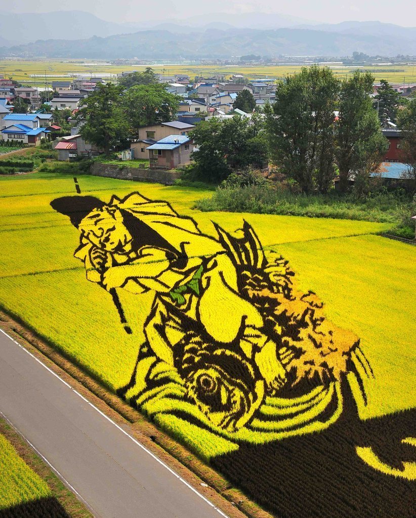 日本农民在稻田"种画" 精美逼真如神笔