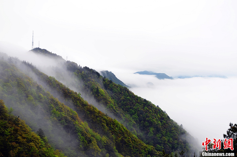 描写井冈山的自然美景图片