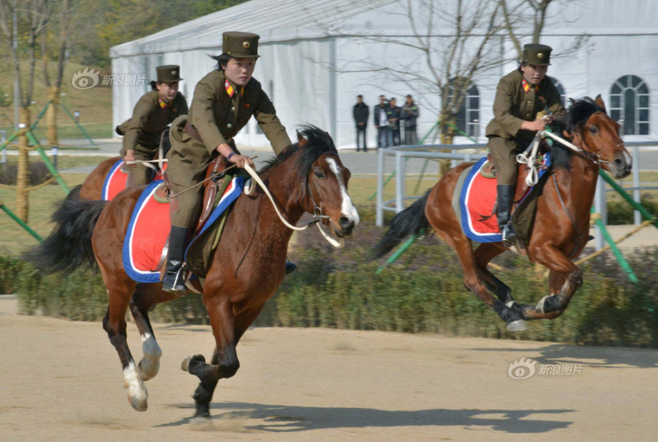 朝鲜马术俱乐部竣工女兵骑马英姿飒爽