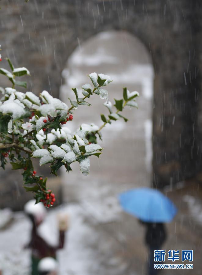 南方多地雨雪纷飞
