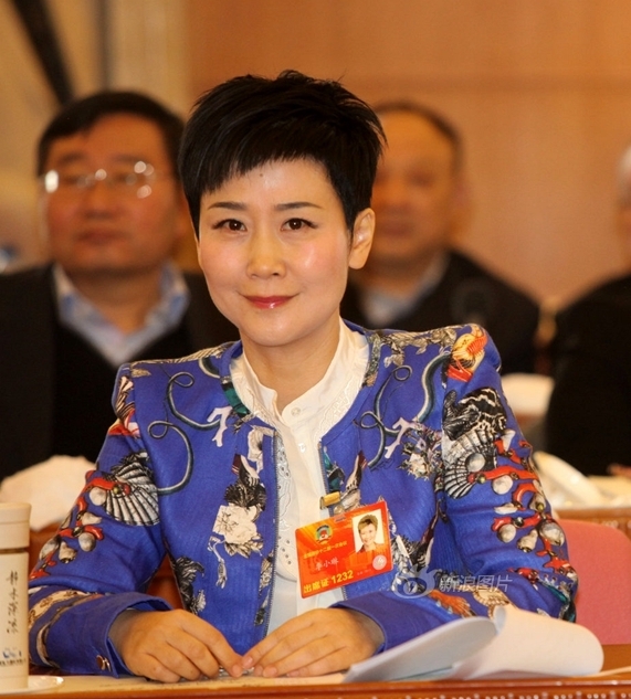 中国电力董事长_电力公司董事长宣城