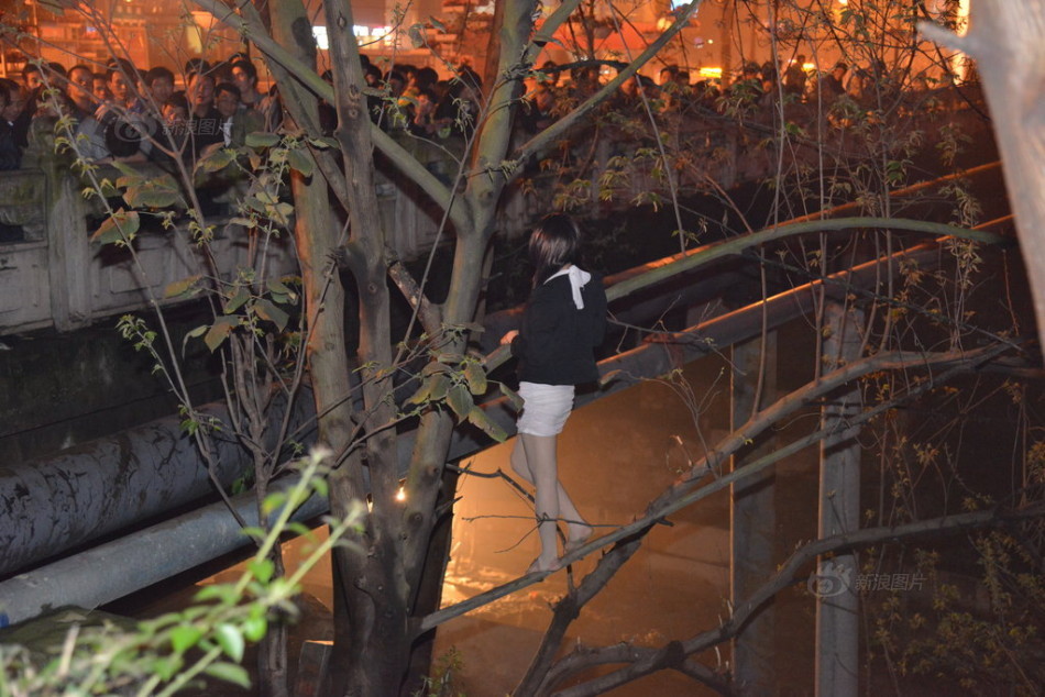 站街女遇民警爬树对峙 33人中有3人是男身