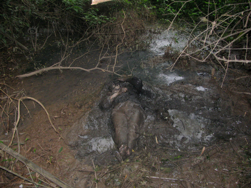 男子与妻子购物途中走失 掉臭水沟躺两夜一天