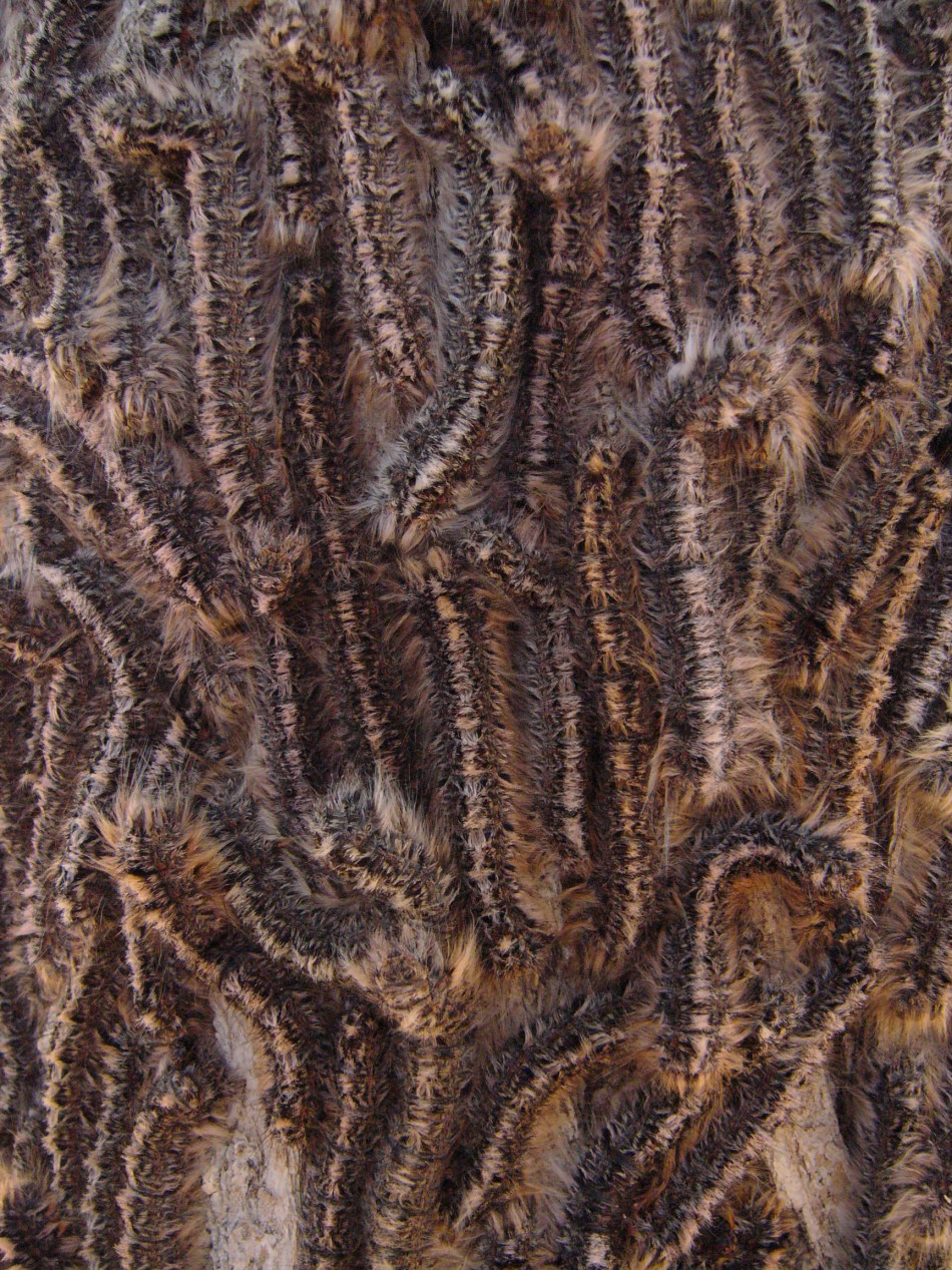 榆树毛毛虫_高清图集_新浪网