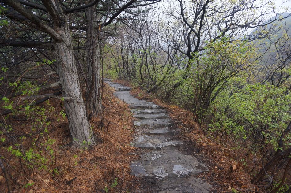 林中小路_高清图集_新浪网