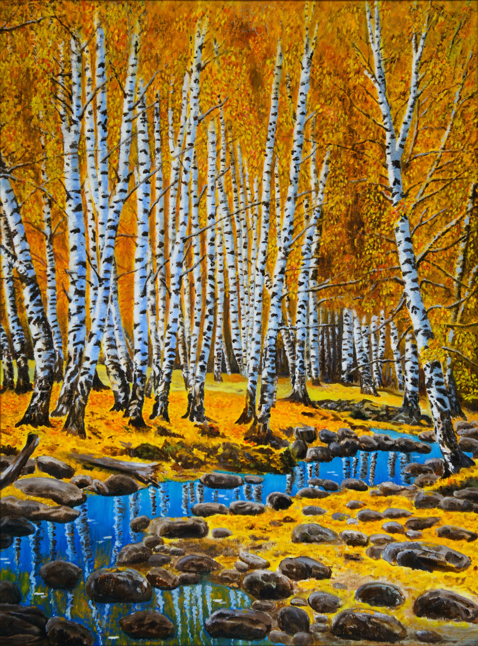 寂静白桦林_高清图集_新浪网