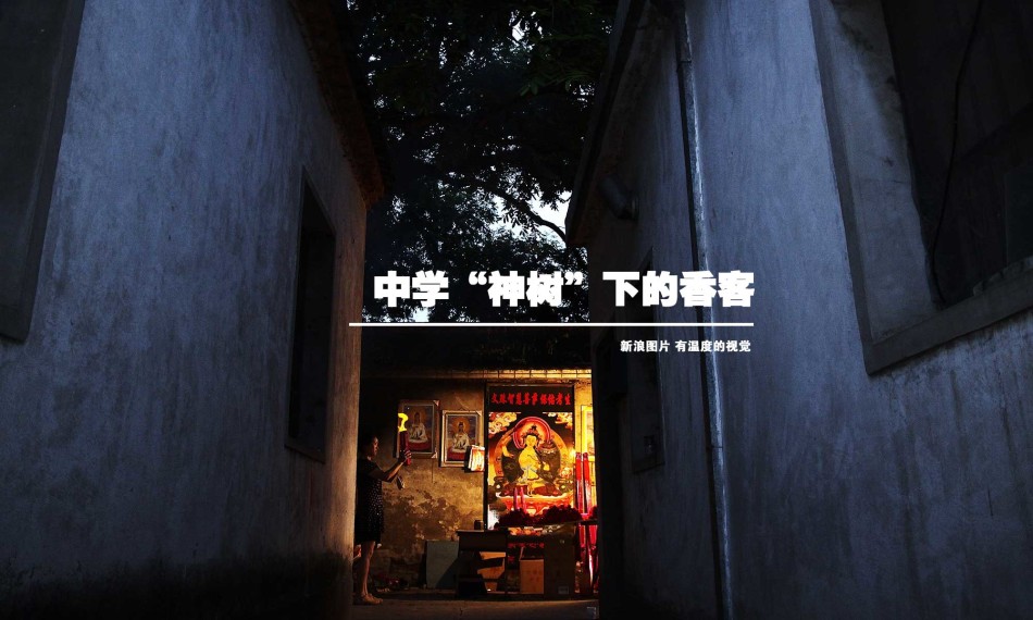 中学“神树”下的香客