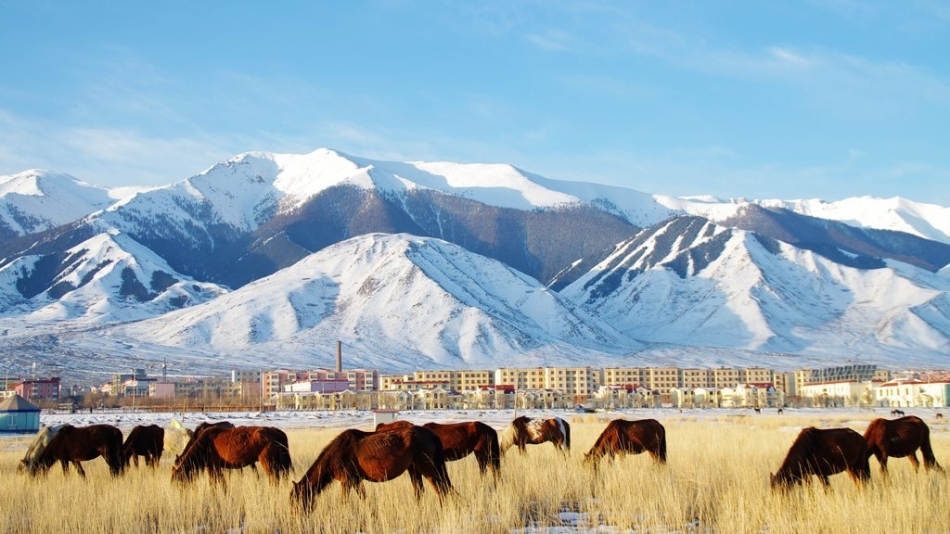 神秘新疆巴里坤