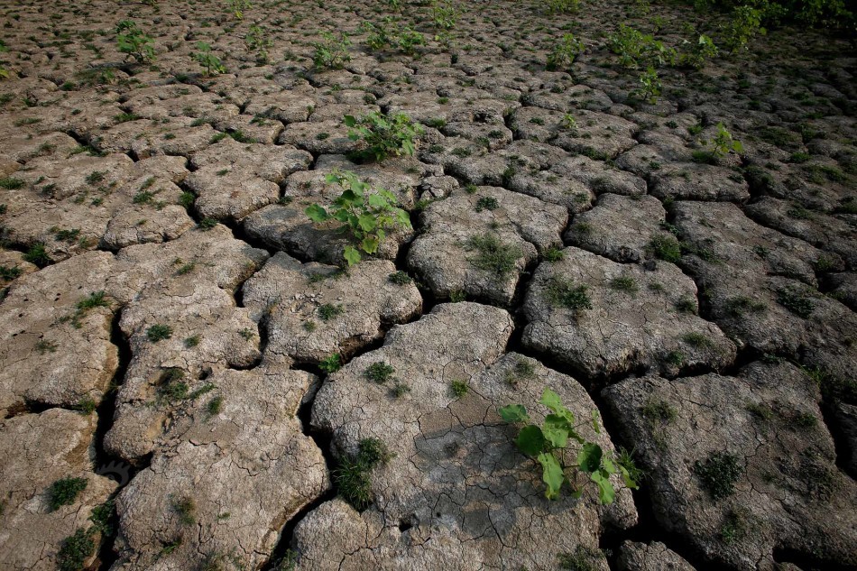 河南经受63年来最严重干旱