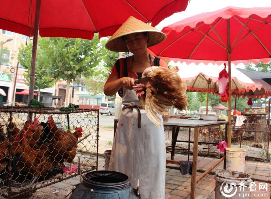 山东临沂杀鸡嫂的音乐路