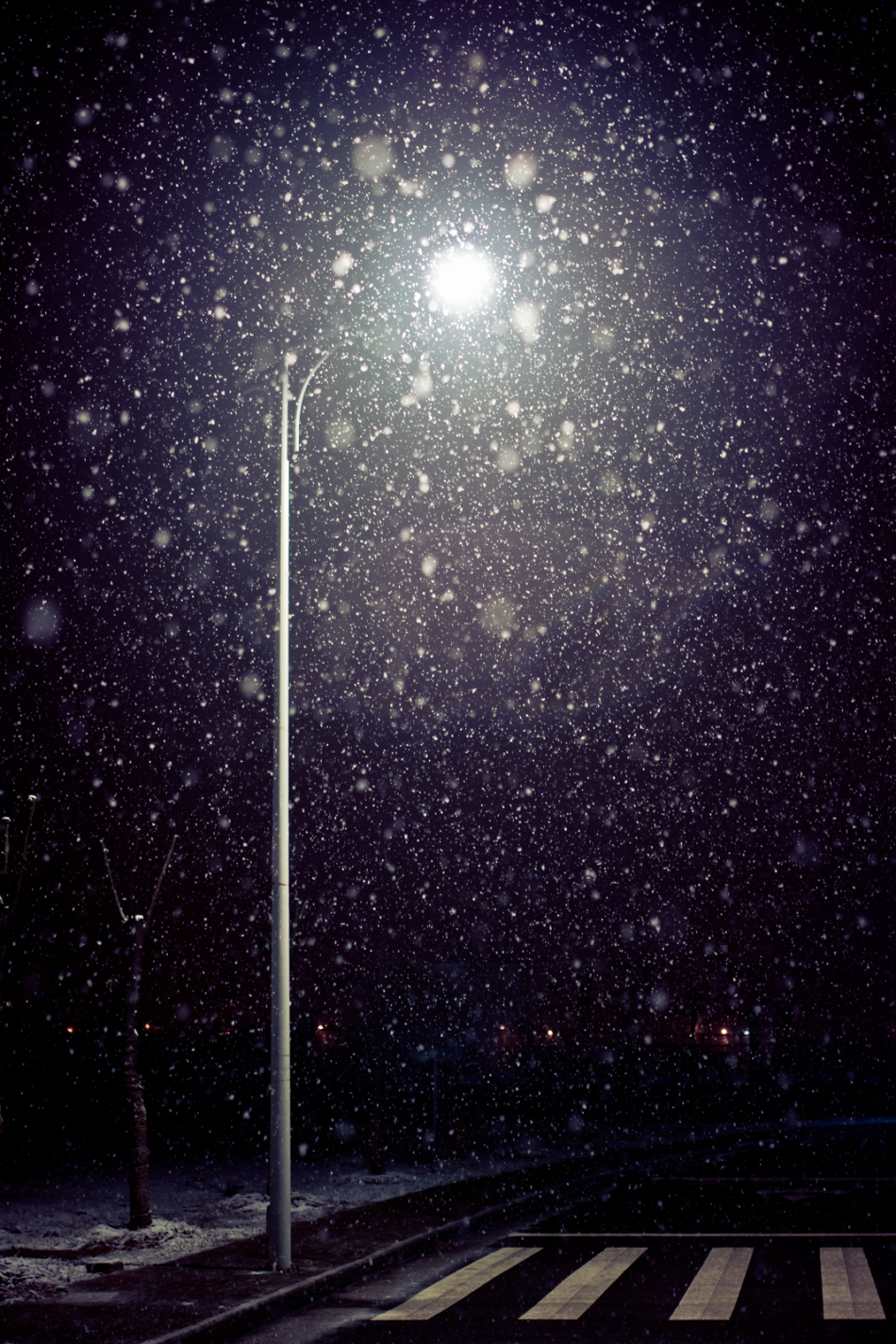 校园夜雪(组图)_高清图集_新浪网