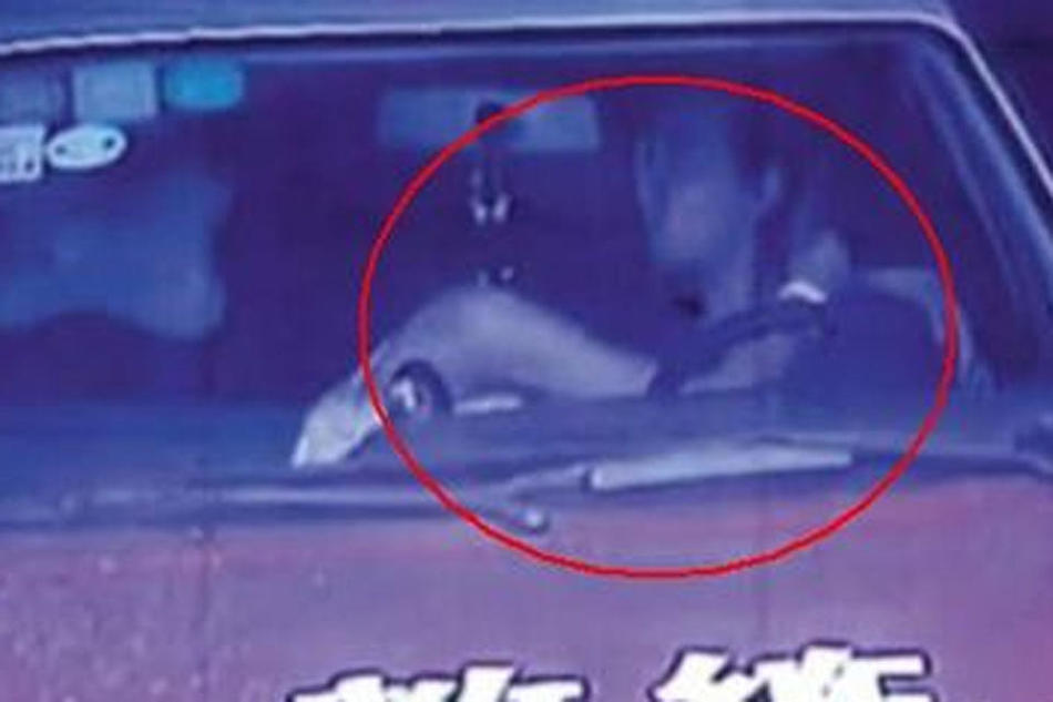 驾校教练与学员车内激吻