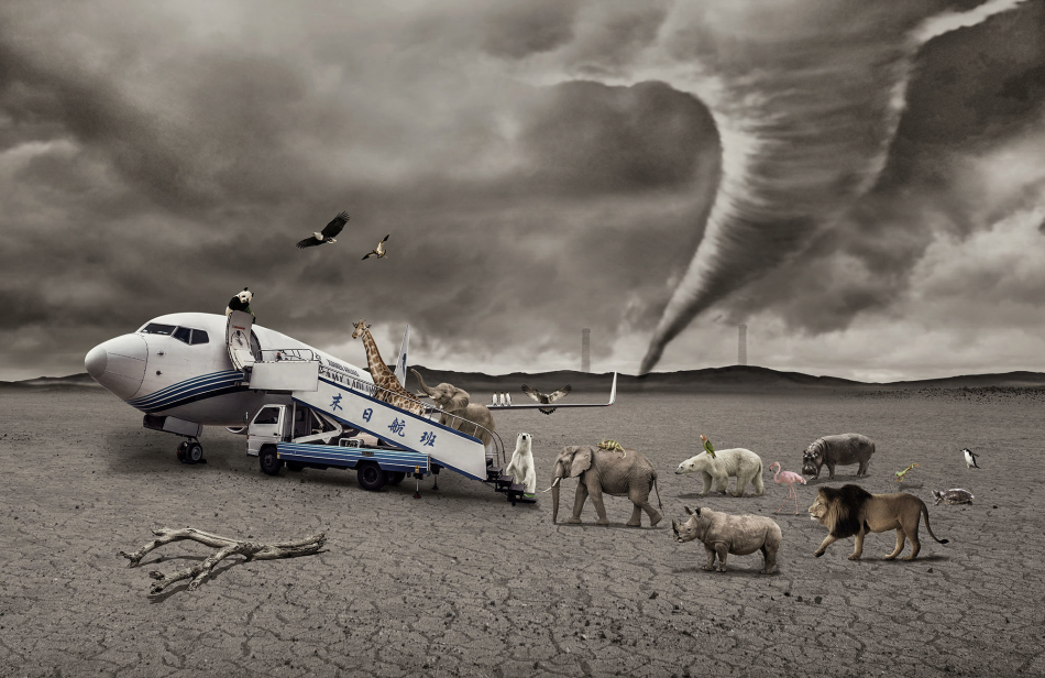 末日航班_高清图集_新浪网