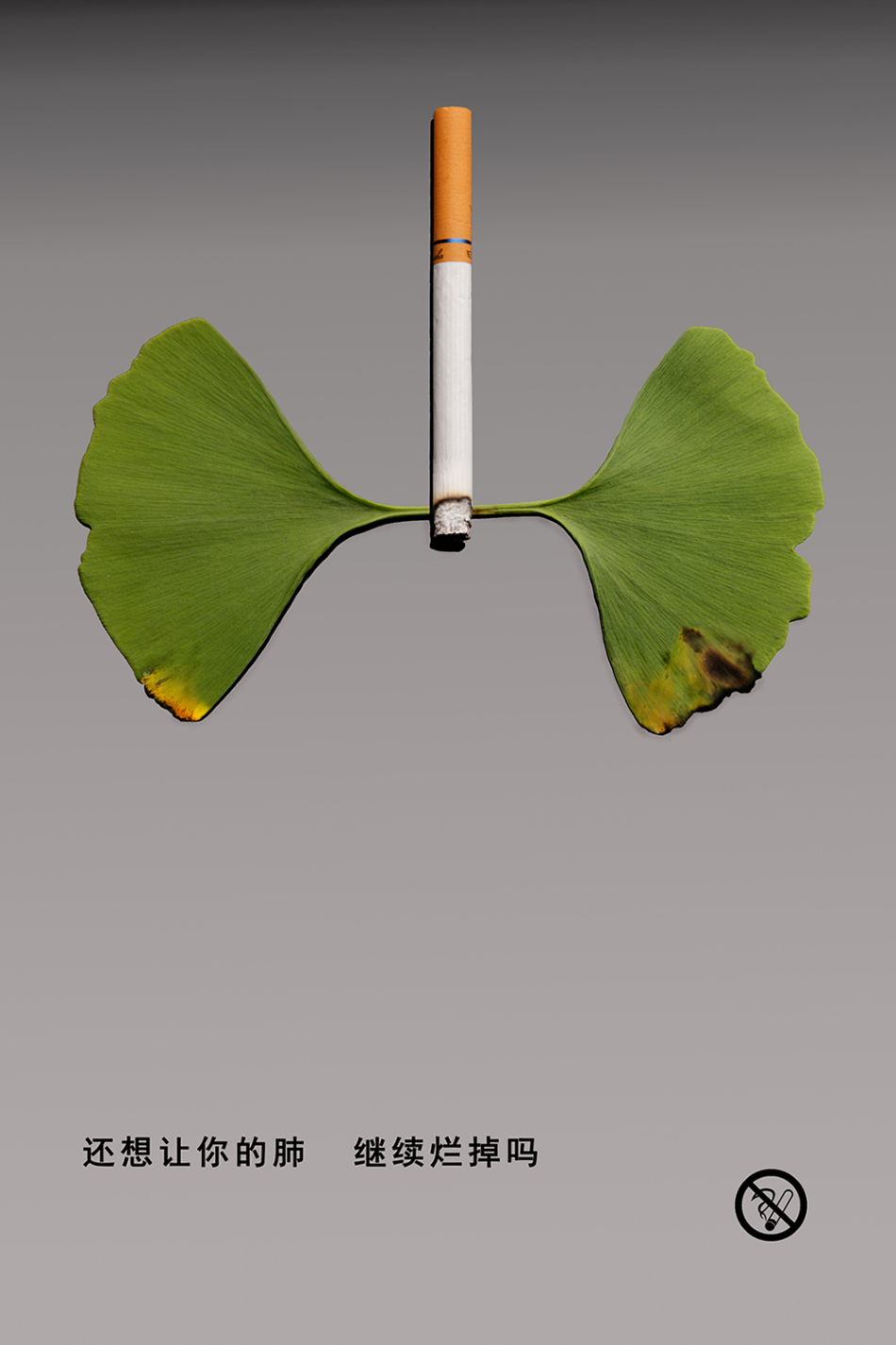 艺术摄影 公益广告_高清图集_新浪网