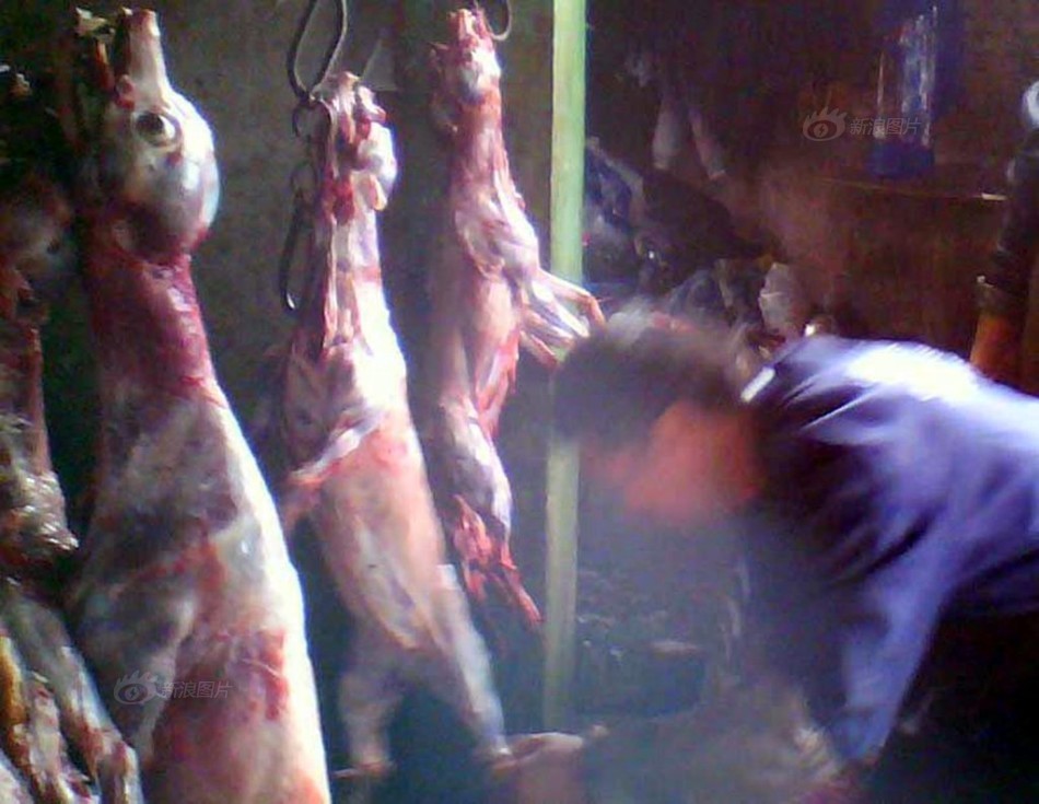 南京摊贩菜场现杀活狗