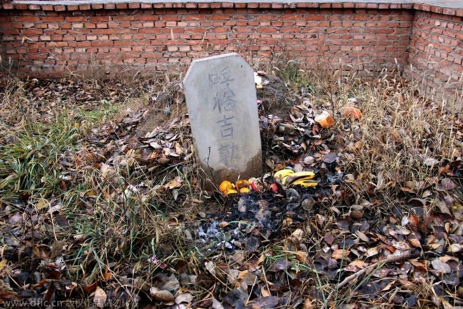 被"呼格吉勒图案"改变命运的人