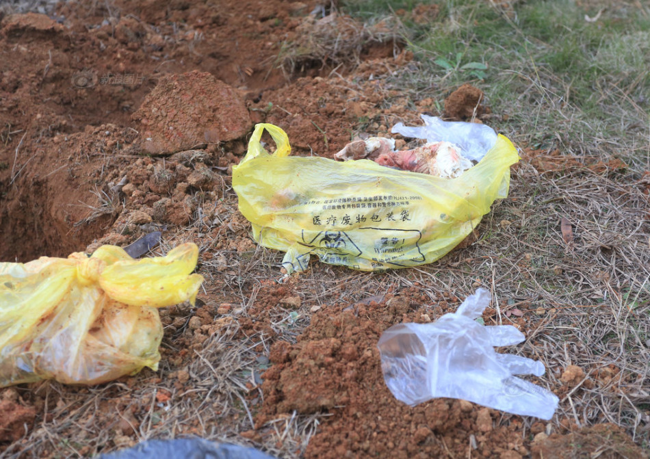 江西九江一公园现10多具死胎