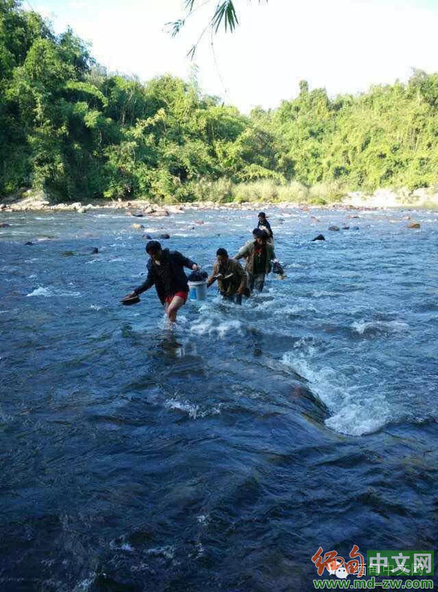 中国伐木工逃离缅北全程