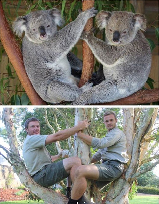 图为动物管理员们模仿袋鼠,神态动作生动形象.