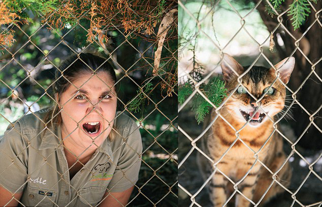 澳管理员模仿动物搞笑照片蹿红网络第二期