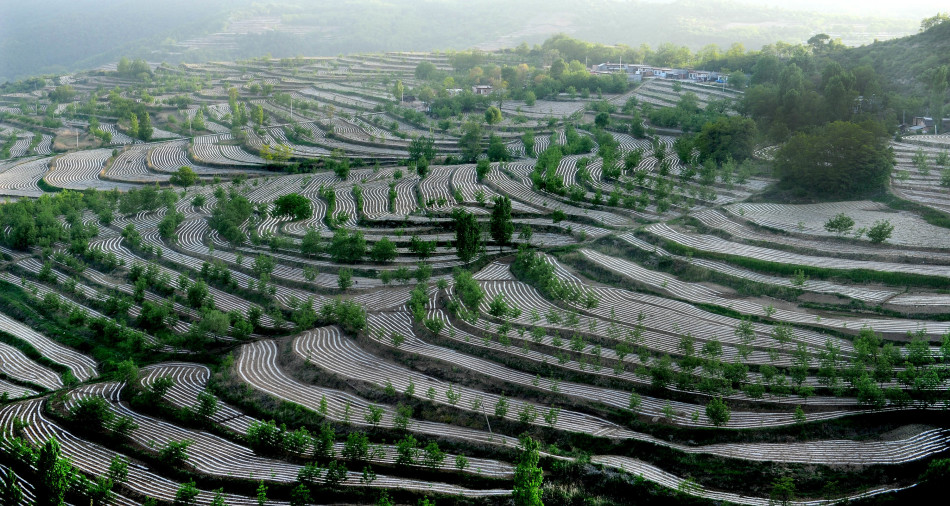 黄土高原上壮丽的旱作梯田