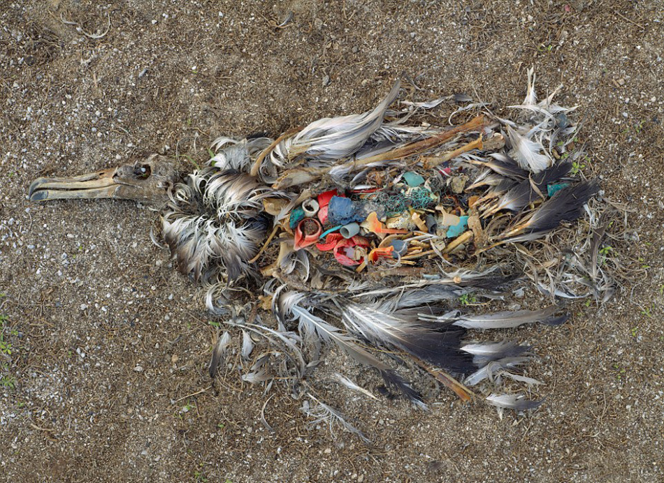 彷如末日景象的地球之殇