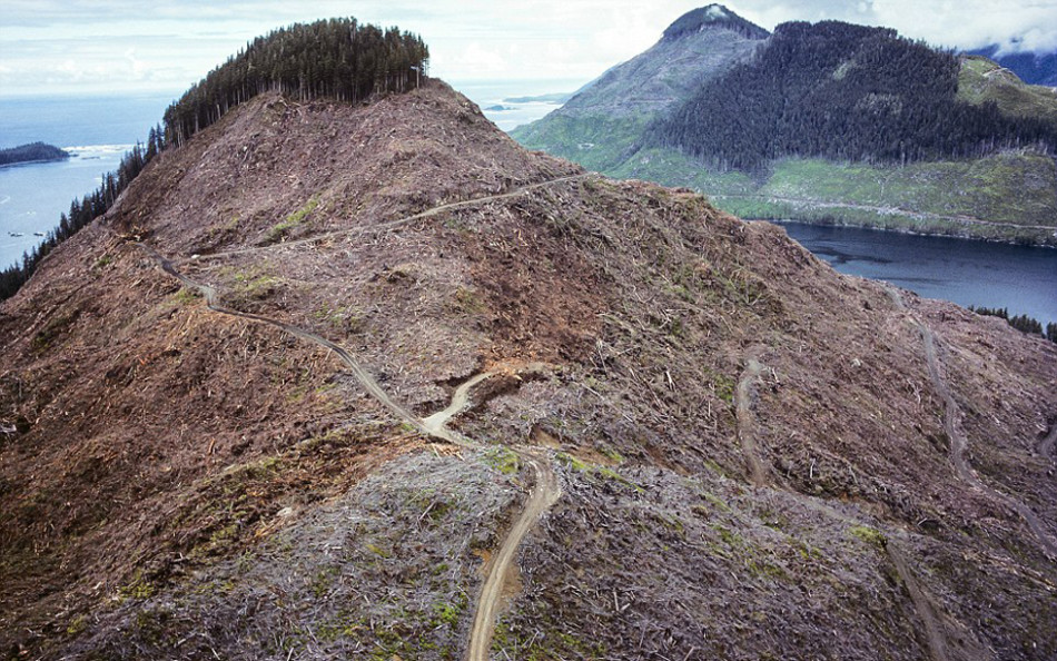 彷如末日景象的地球之殇