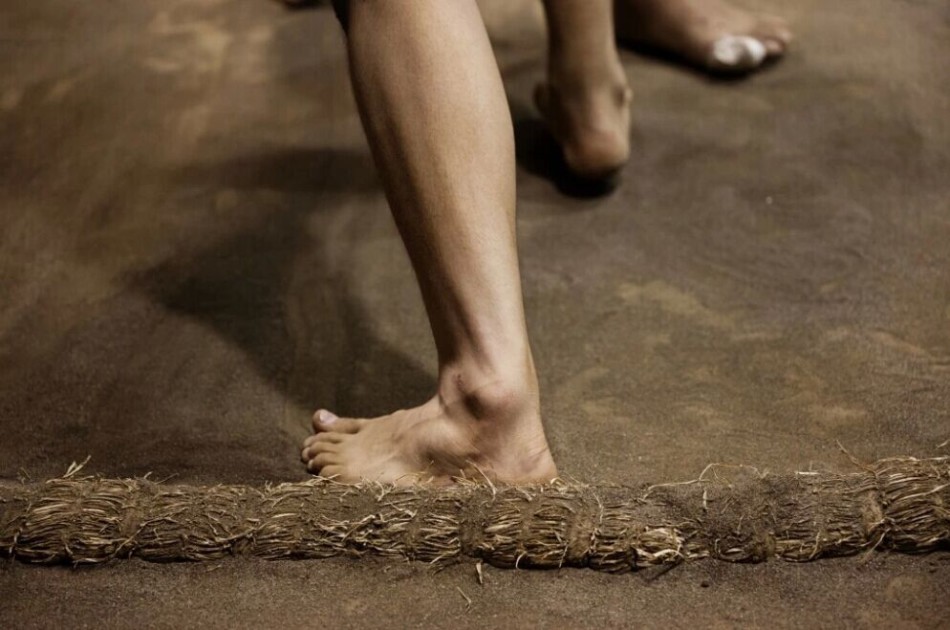 日本相扑俱乐部的孩子们