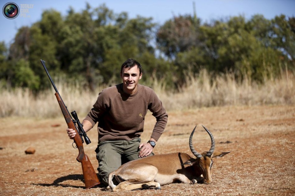 非洲合法狩猎产业:大量野生动物被制成标本