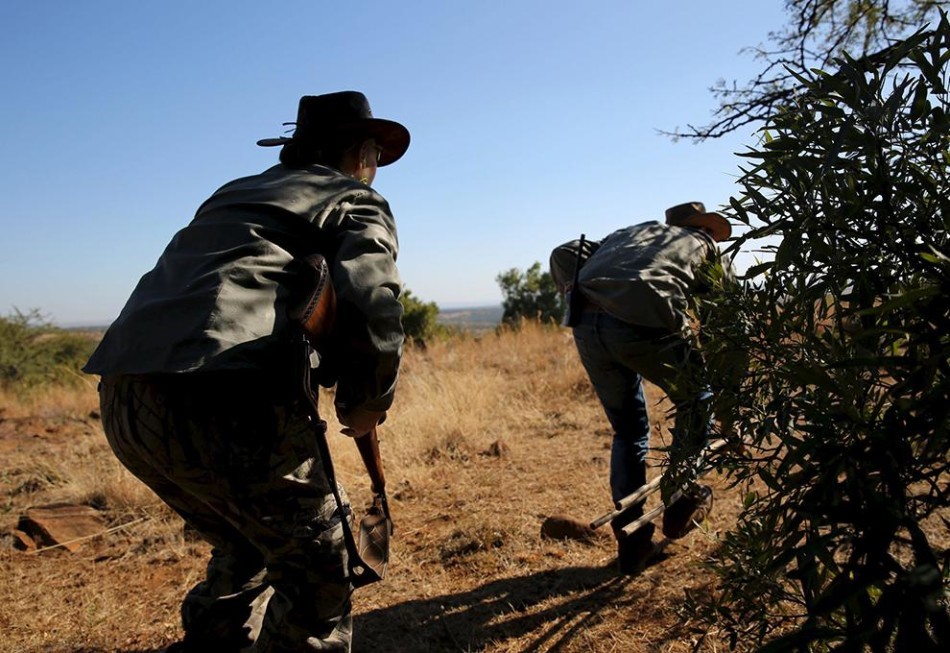 在位于南非西北省的iwamanzi 私人狩猎区,专业化的猎手们出发打猎