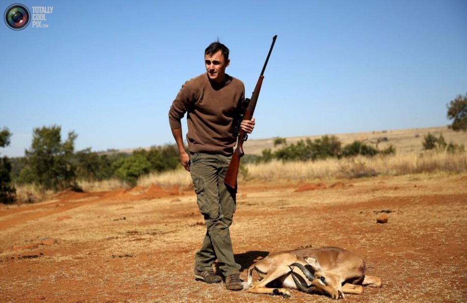 非洲合法狩猎产业:大量野生动物被制成标本