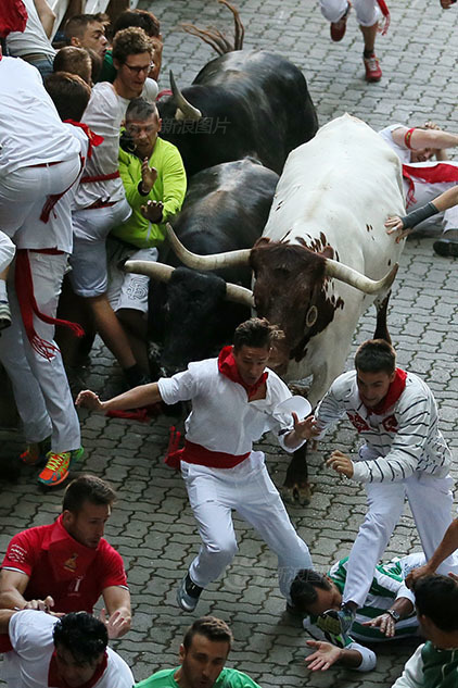 西班牙奔牛节开跑人跑牛追险象环生