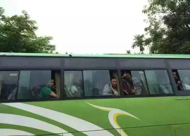 155名中国伐木工人获释