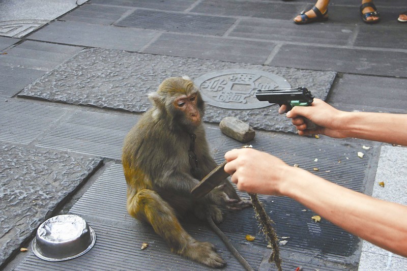 男子街头打骂猴子卖艺 遭市民抵制