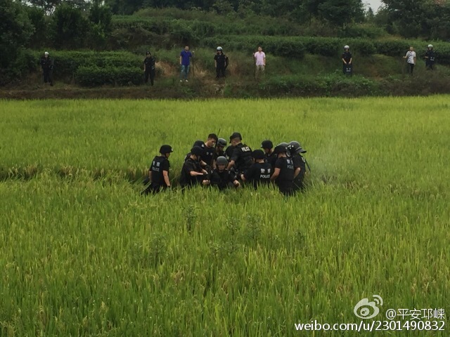警察田地里赤脚追捕弯刀男