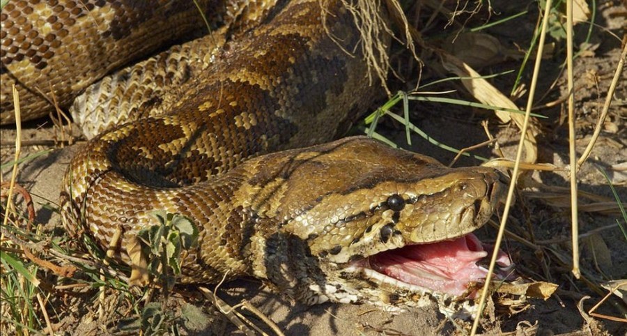 新浪移动|图集详情