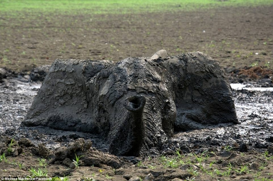 facebook深陷泥潭,扎克伯格打不好的广告牌