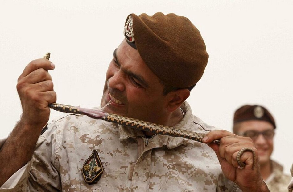 黎巴嫩特种兵为练胆生咬活蛇