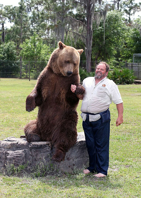 美国驯熊世家养13头熊当宠物