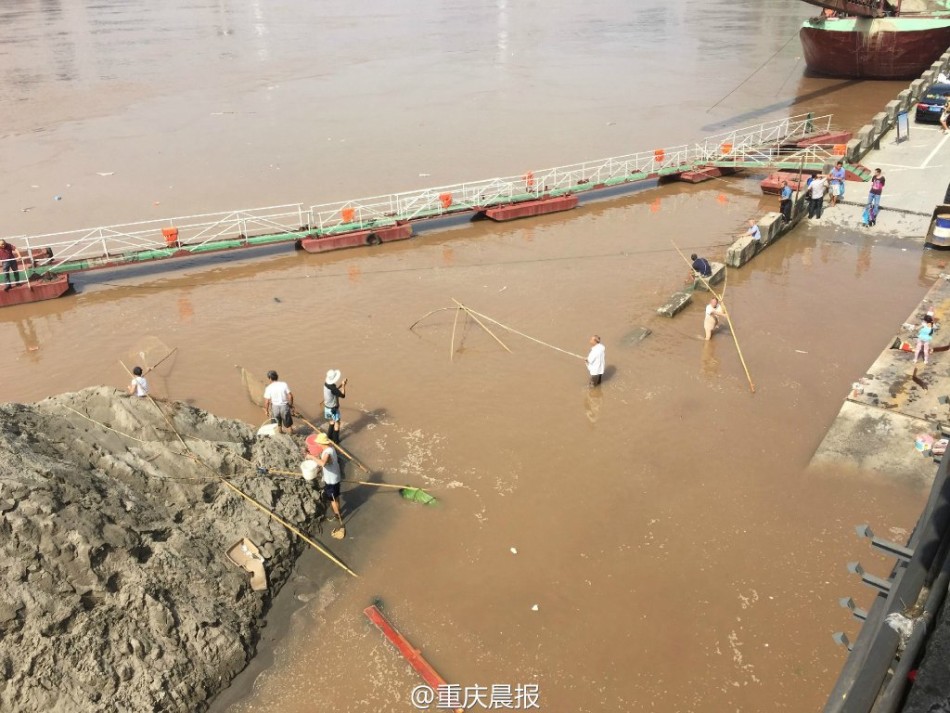 捕鱼的网什么原理图_捕鱼网图片(3)